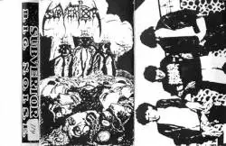 Subvertor : B.I.G. N.O.I.S.E.